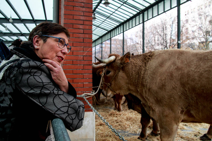 Feria ganadera y agrícola en Leioa