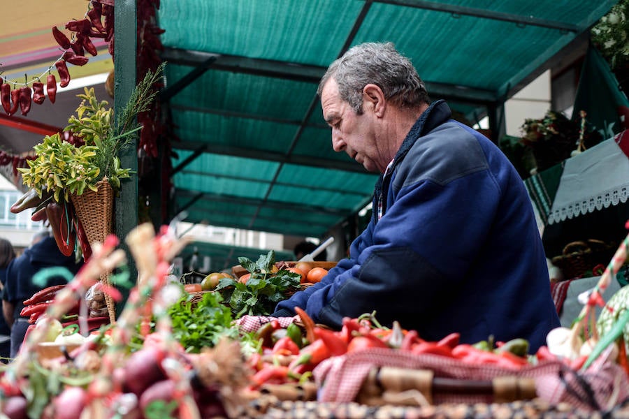 Feria ganadera y agrícola en Leioa