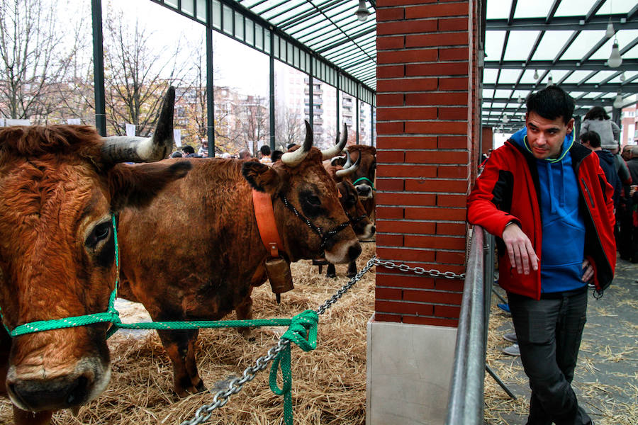 Feria ganadera y agrícola en Leioa