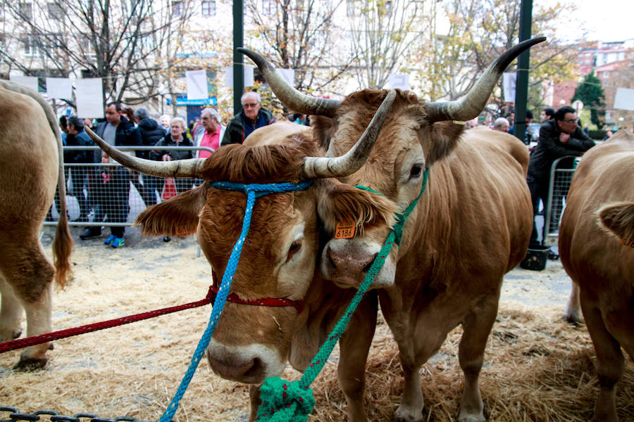 Feria ganadera y agrícola en Leioa