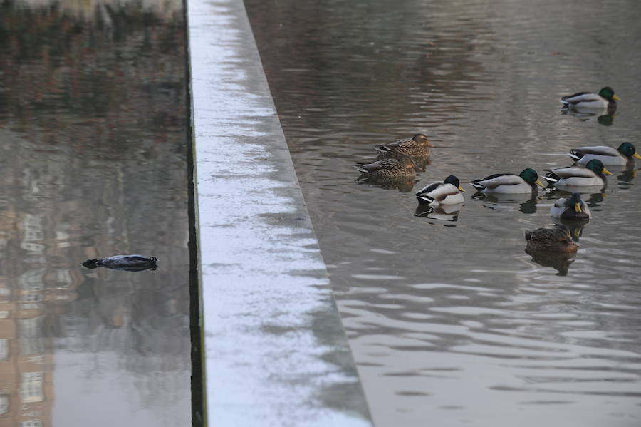 Álava despide el año a bajo cero