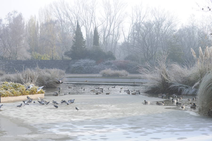 Álava despide el año a bajo cero