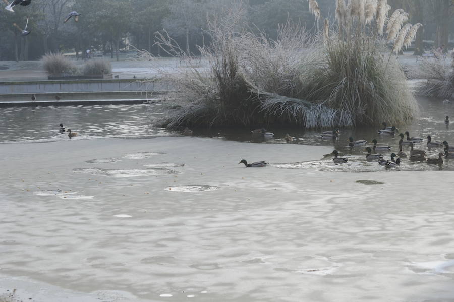 Álava despide el año a bajo cero