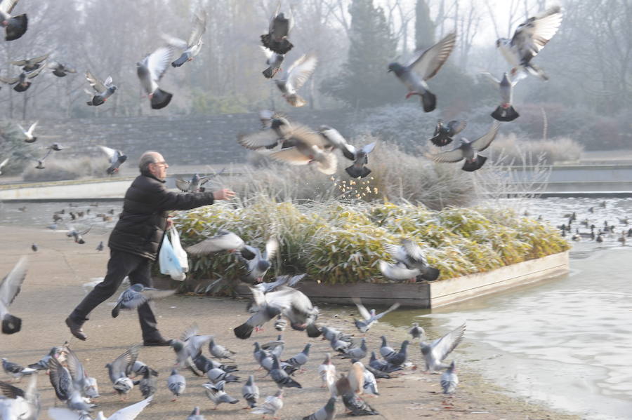 Álava despide el año a bajo cero