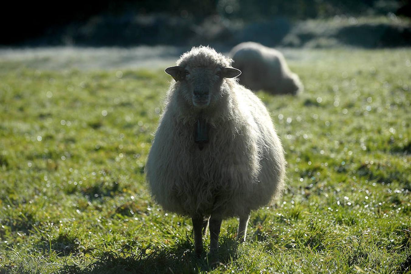 Así de fría estaba la mañana en El Regato y en Otxandio