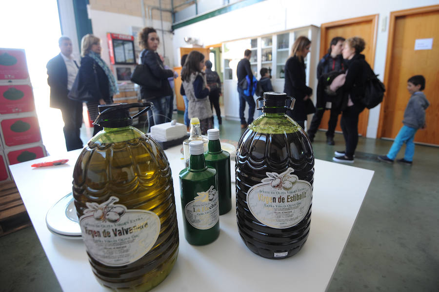 Oion se vuelca con la Fiesta del Aceite de Oliva de Rioja Alavesa