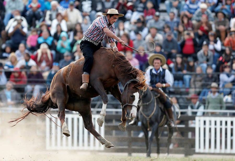 Los saltos a caballo más espectaculares de Montevideo