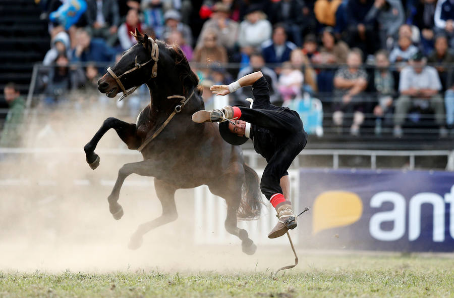 Los saltos a caballo más espectaculares de Montevideo