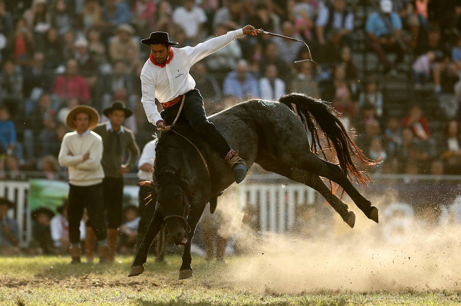 Los saltos a caballo más espectaculares de Montevideo