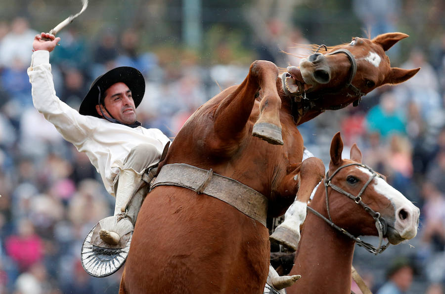 Los saltos a caballo más espectaculares de Montevideo