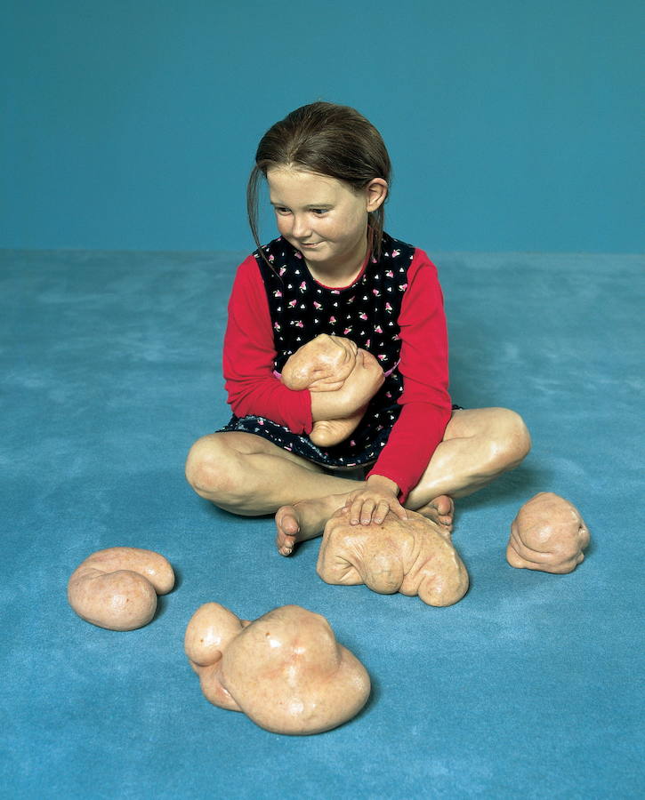‘Tiernas criaturas', de Patricia Piccinini (2007). Una de las exposiciones de más éxito del Artium en sus 15 años de vida