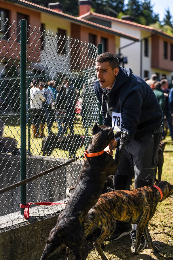 Fiesta del campo en Trucíos