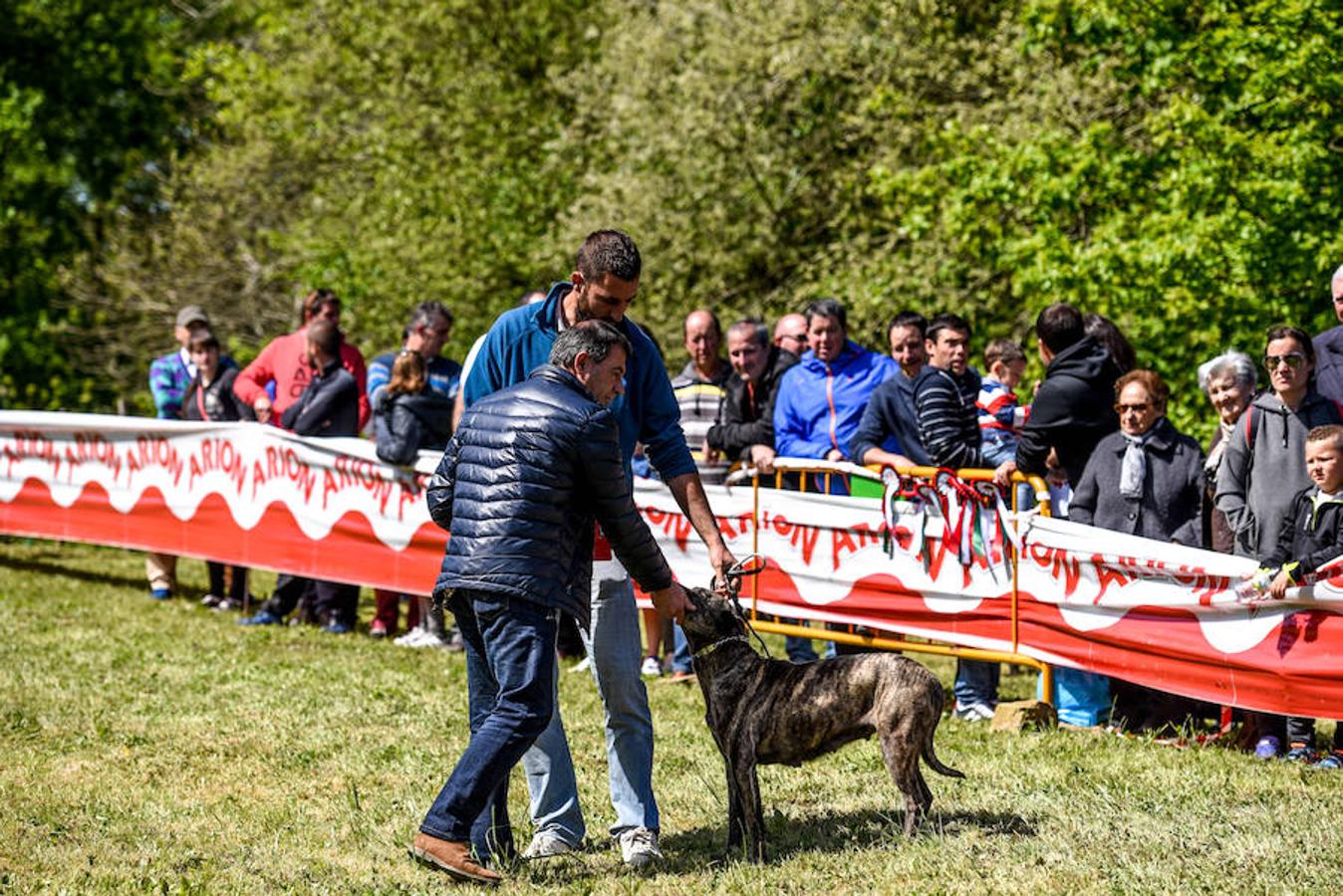 Fiesta del campo en Trucíos