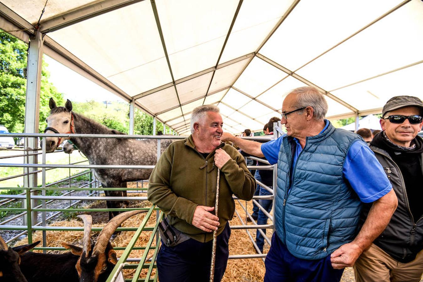 Fiesta del campo en Trucíos