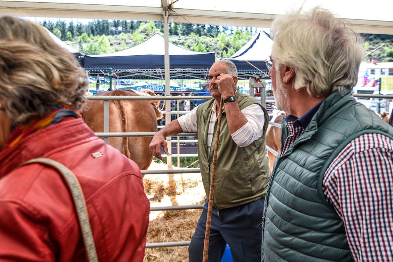 Fiesta del campo en Trucíos