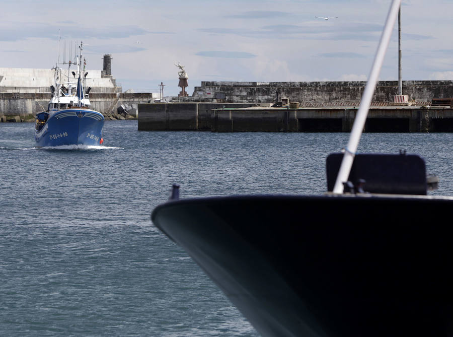 Buena captura de anchoa en Bermeo
