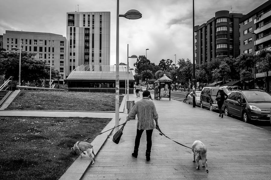 Una vecina pasea a sus peros por la avenida Lehendakari Aguirre.