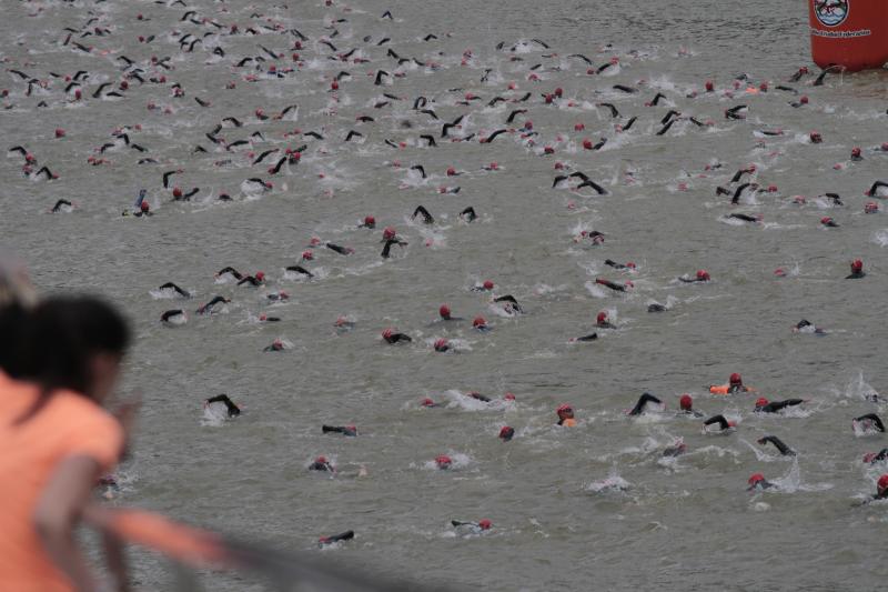 Brazadas por la ría