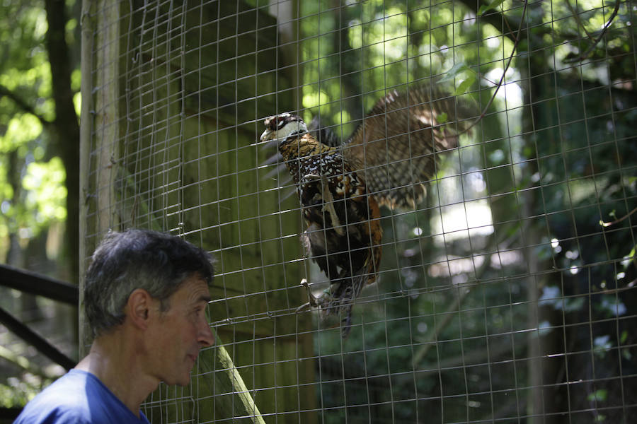 Un refugio para fauna silvestre amenazada, en Kortezubi