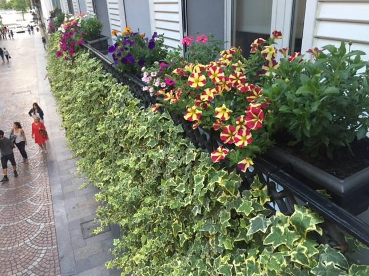 Los mejores balcones del III Concurso de Decoración de Balcones y Miradores del Casco Viejo de Bilbao