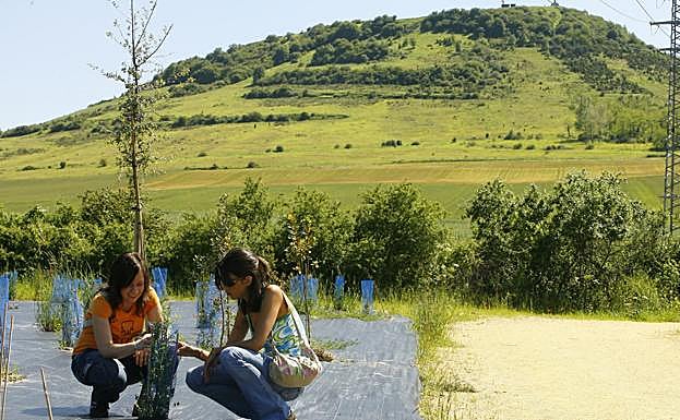 Dos mujeres observan un árbol recién plantado en el Arboreto de Olárizu. 