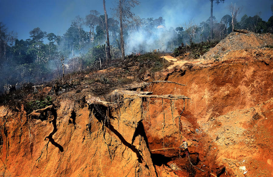 Son unos mineros que abundan en Brasil en la selva del Amazonas. Viven en condiciones infrahumanas y arriesgan su vida al utilizar máquinas como los monitores hidráulicos en búsqueda de mercurio, como sustancia para amalgamar el oro. Un uso que daña gravemente el medio ambiente.