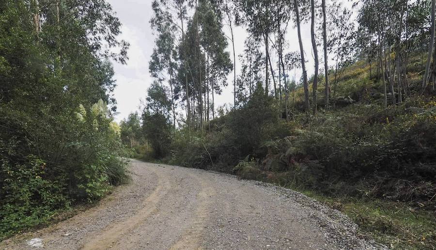 La pista forestal en la que fue encontrada la mujer atraviesa Limpias y Guriezo y forma parte del Camino de Santiago.