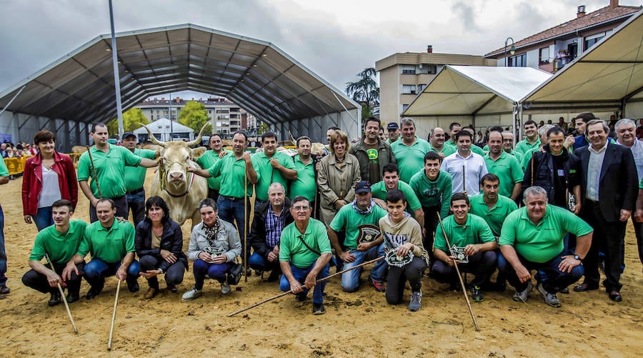 Segunda jornada del certamen de raza pirenaica de Euskadi con la elección del mejor toro y la mejor vaca, entre el total de las 121 reses que este año han entrado en liza en el certamen