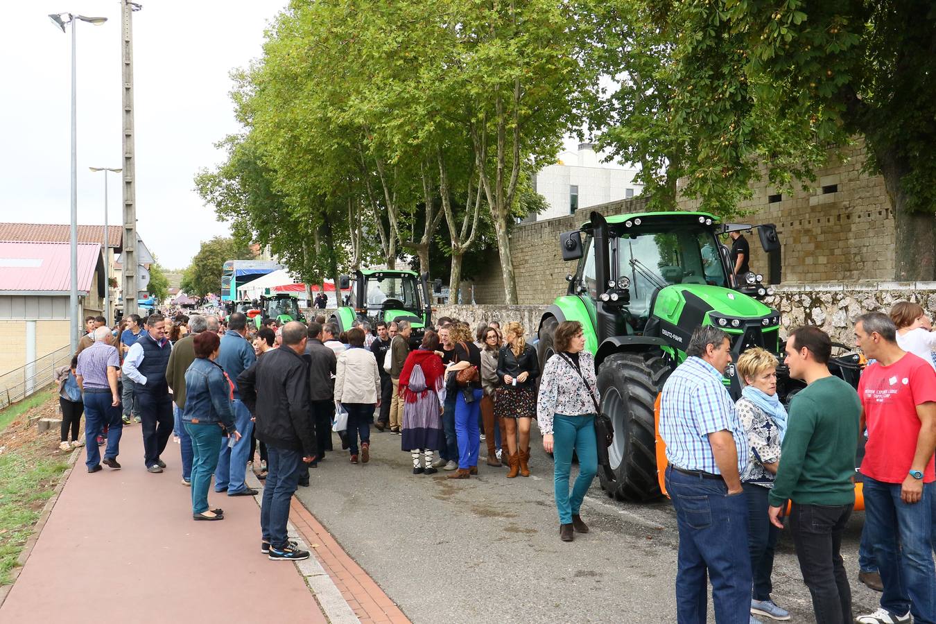 Feria de ganado de Salvatierra