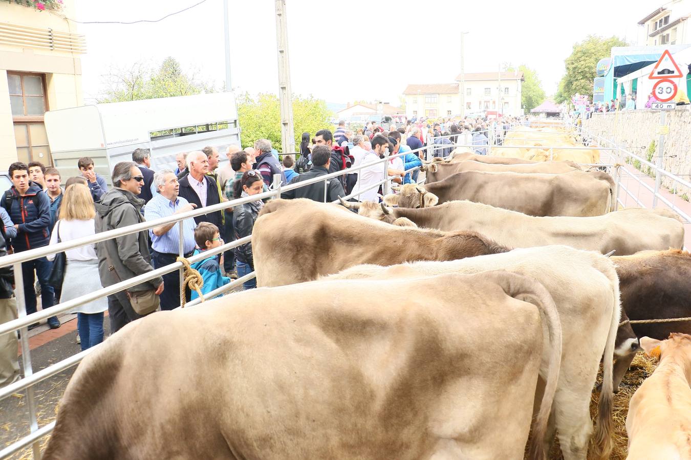 Feria de ganado de Salvatierra