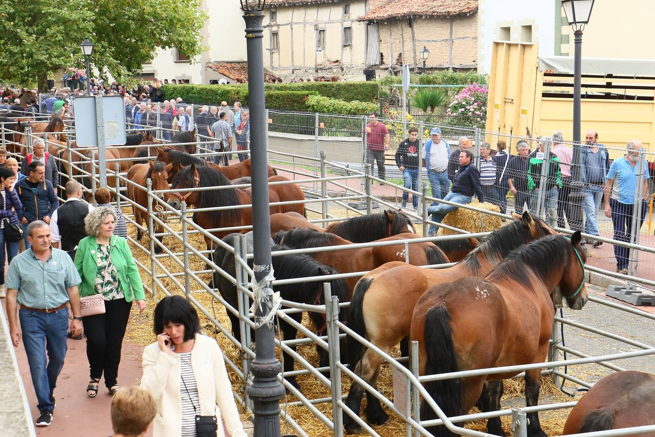 Feria de ganado de Salvatierra