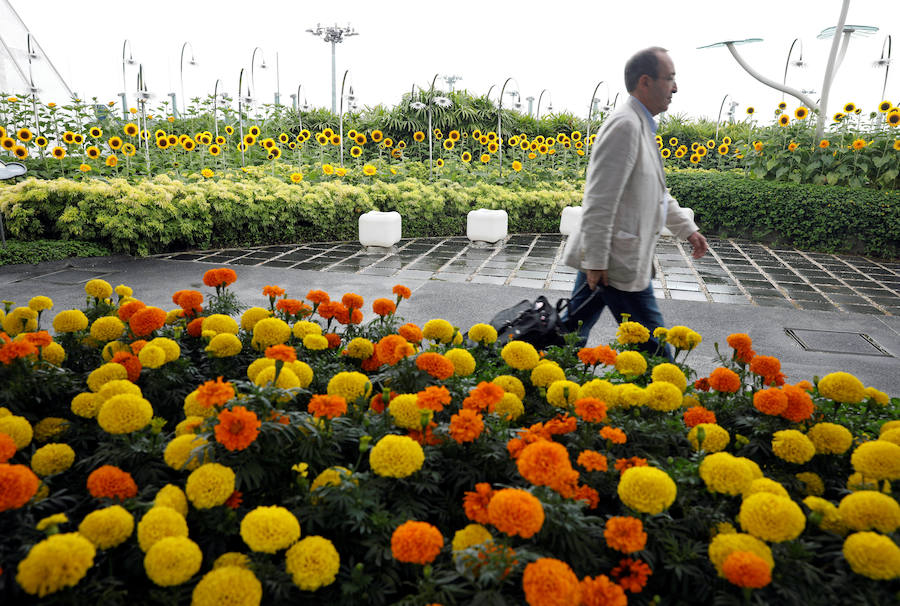 El aeropuerto de Changi, en Singapur, lleva cuatro años recibiendo el premio al mejor aeropuerto del mundo. Ofrece varios parques infantiles, jardines cubiertos y al aire libre, piscina, cines, máquinas que dan masajes en los pies, incontables tiendas y opciones de alimentación para todos los gustos y bolsillos