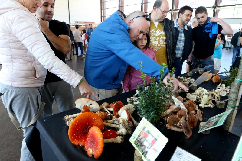 La Asociación Micológico Errotari organiza este fin de semana exposiciones, degustaciones y cursillos de clasificación en la localidad