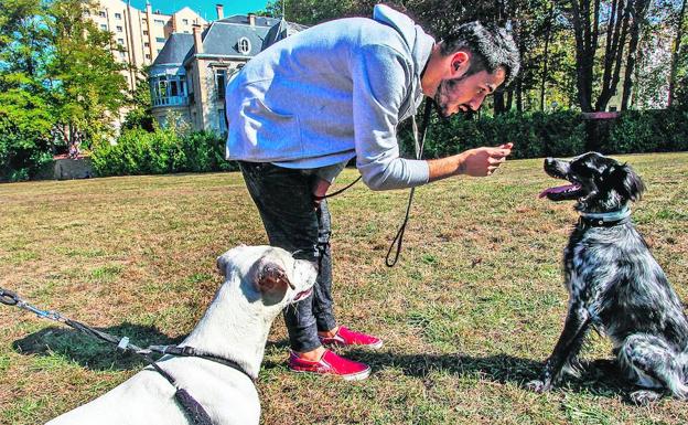 Borja juega con Coco y su perro Troy en el descampado del paseo de la Música. 