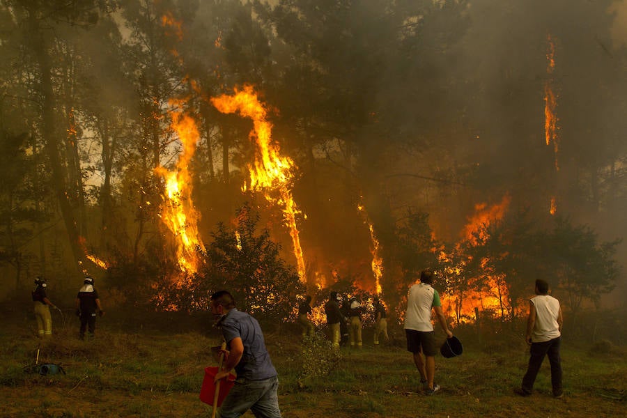 Las llamas avanzan sin control y amenazan casas en Pontevedra, Ourense y Lugo. Vecinos salen a la calle cargados de cubos para ayudar a los bomberos a sofocar las llamas
