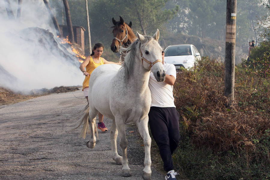 Las llamas avanzan sin control y amenazan casas en Pontevedra, Ourense y Lugo. Vecinos salen a la calle cargados de cubos para ayudar a los bomberos a sofocar las llamas