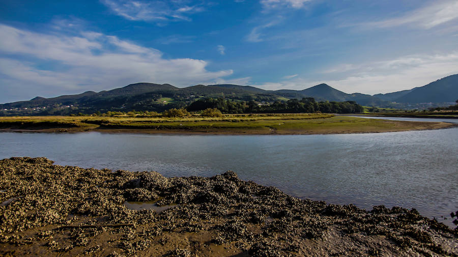 Un recorrido entre Murueta y Forua por el corazón de la biosfera.