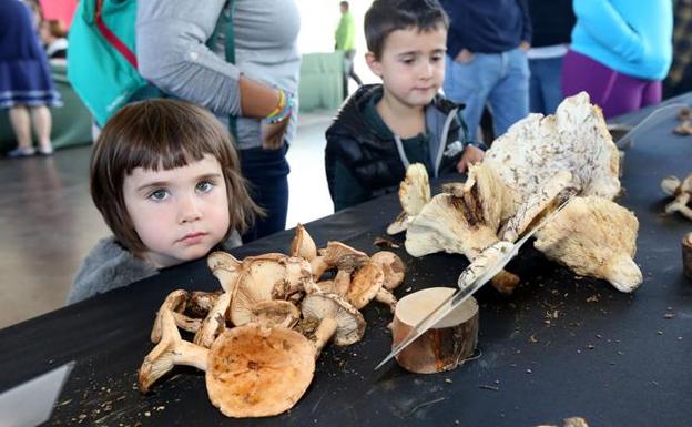 Dos pequeños asisten a una exposición micológica como la que habrá el domingo en Gorliz