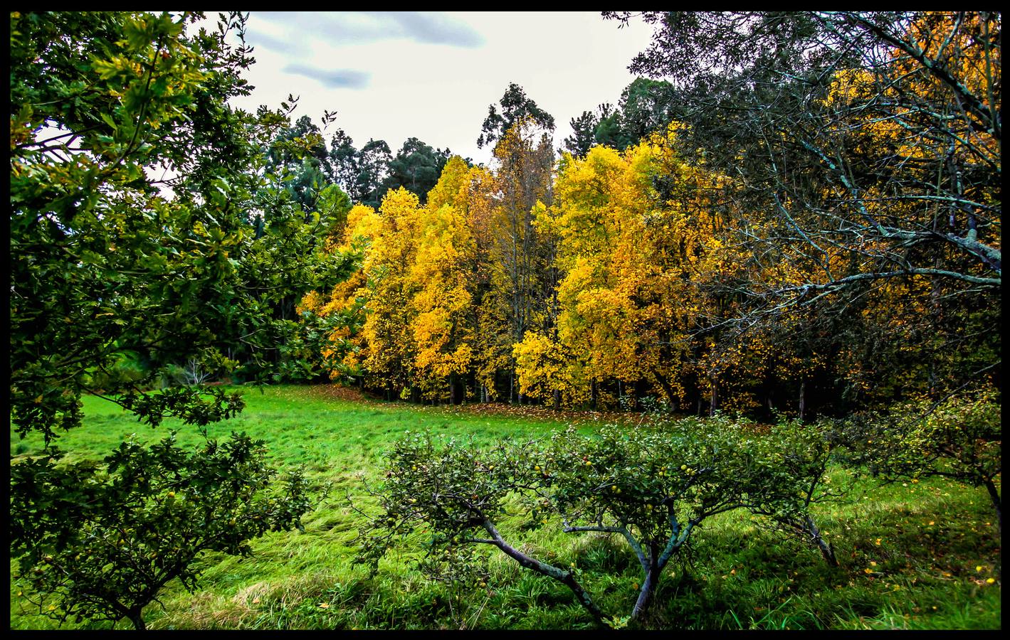 La reserva de la biosfera presenta unos paisajes naturales dignos de admirar.