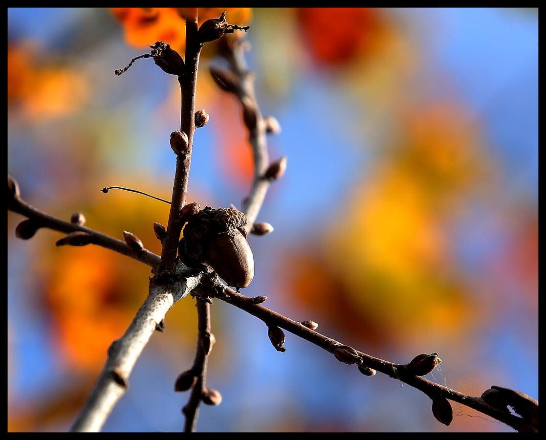 El parque bilbaíno ya ha recibido al otoño con unos paisajes propios de la época.