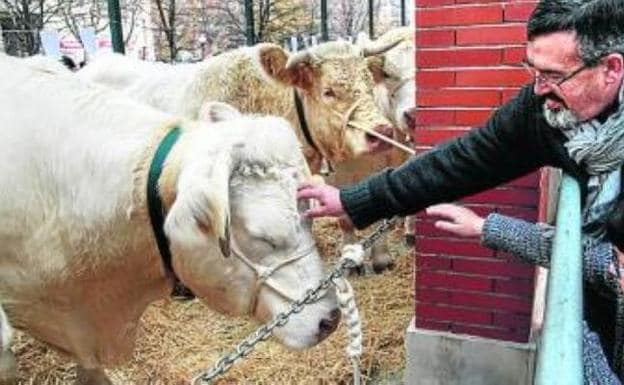 La feria exhibirá un centenar de cabezas de ganado. 