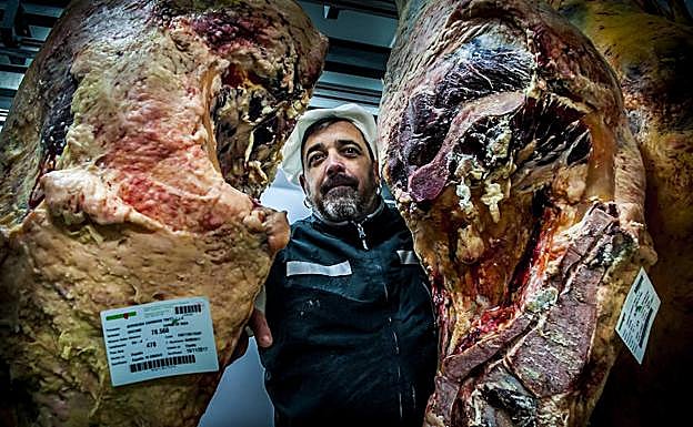 Eduardo López muestra los canales de vaca de donde saldrán las chuletas más lustrosas.