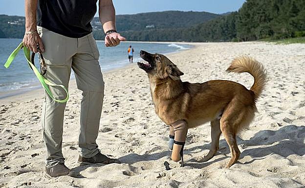 John Daley juega con Cola, que lleva las prótesis en sus dos patas delanteras.