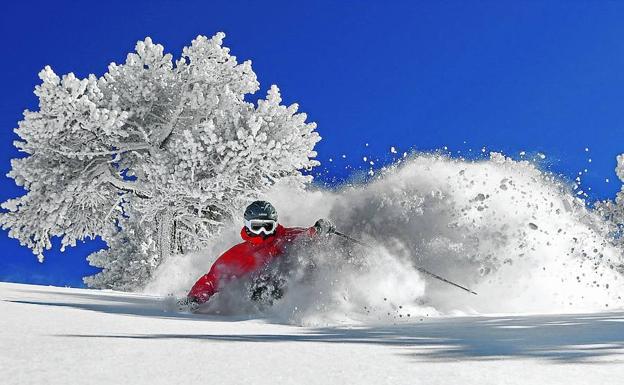 Un freerider pasa junto a un árbol helado en Baqueira Beret.