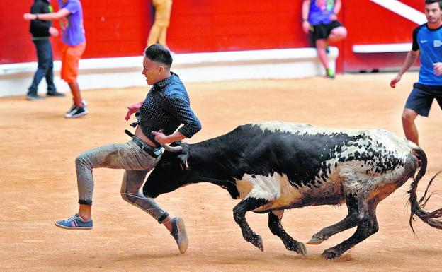 La suelta de vaquillas es un espectáculo que atrae público a las gradas de la plaza pero también en el ruedo. 