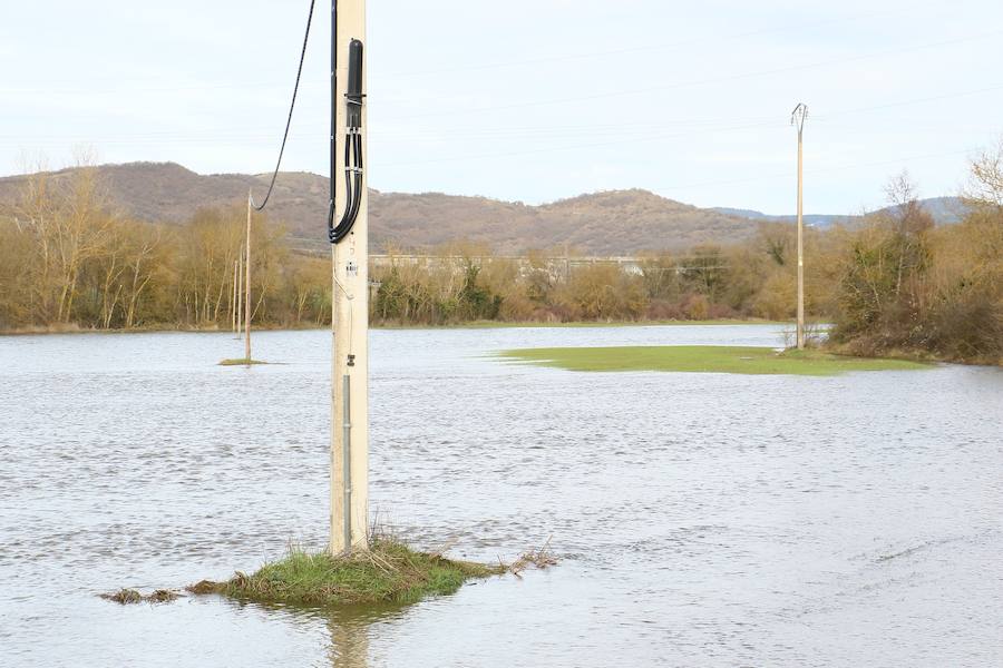 Una de las fincas de cereal anegada completamente en la vega de Arroiabe, muy lejos del cauce normal del Zadorra.