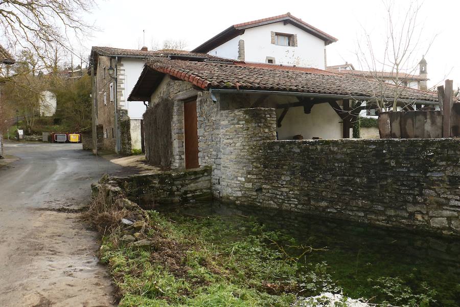 Una de las fincas de cereal anegada completamente en la vega de Arroiabe, muy lejos del cauce normal del Zadorra.