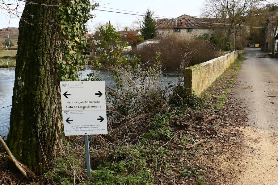 Una de las fincas de cereal anegada completamente en la vega de Arroiabe, muy lejos del cauce normal del Zadorra.