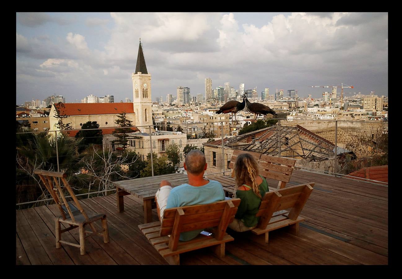 Tel Aviv, la acelerada capital económica de Israel, tiene buenas vistas. Con el espacio vital ajustado y escaso, los habitantes de la populosa metrópoli mediterránea sólo necesitan instalarse en sus propios tejados para gozar. Las azoteas de buena parte de los edificios de la ciudad se han transformado en hermosos jardines al aire libre, restaurantes, centros de instrucción e incluso estudios de arte y yoga.