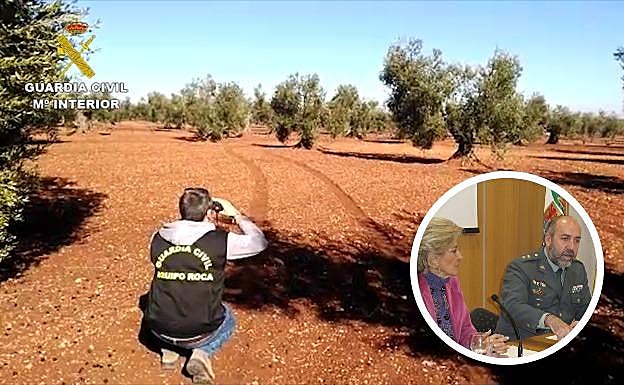 Detenidas 19 personas por hurtar y comprar 46 toneladas de aceitunas robadas en Badajoz